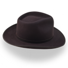 Dark brown fedora hat on a white background